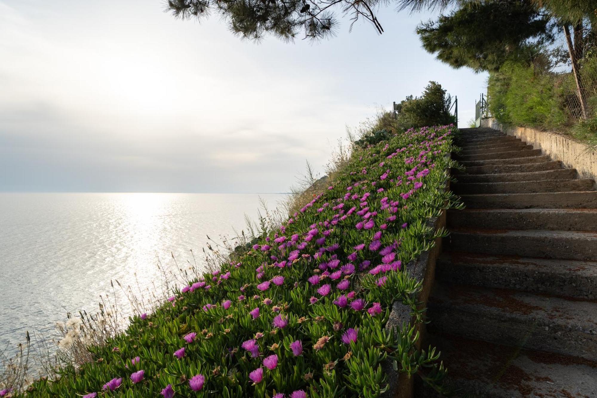 尼亚伊拉克利亚Sunshine House Offering Spectacular Views To Olymp A公寓 外观 照片